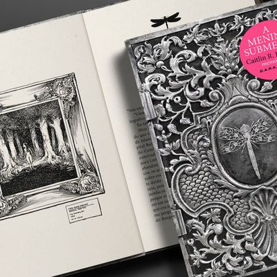 12-a-menina-submersa-limited-edition-4