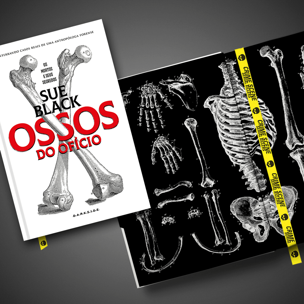 Ossos do Ofício - B2BX