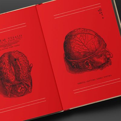frankestein_o_classico_esta_de_volta_shopee_amazon_6