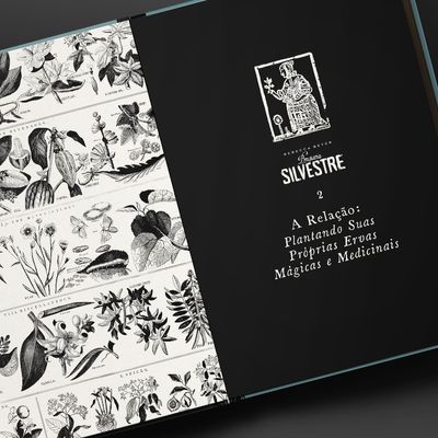 bruxaria_silvestre_loja_9