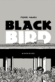 black_bird_loja_mini_capa