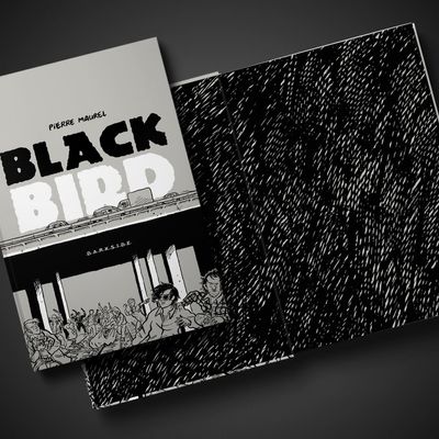 black_bird_loja_4