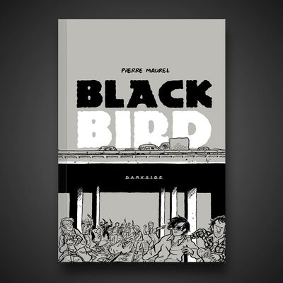 black_bird_loja_1