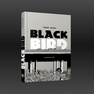 black_bird_loja_2