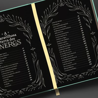 a_maravilhosa_terra_dos_snergs_loja_8