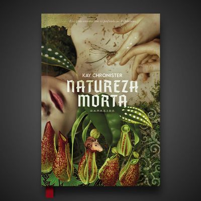natureza_morta_loja_1