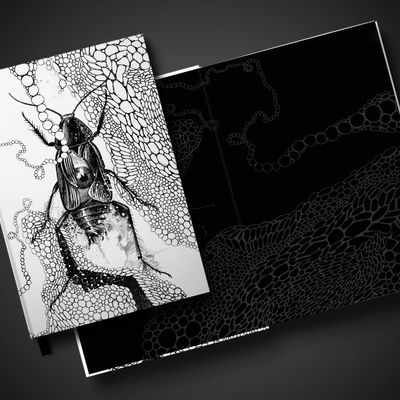 a_metamorfose_loja_4