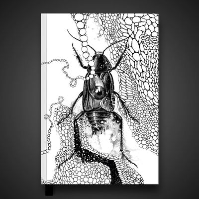 a_metamorfose_loja_1