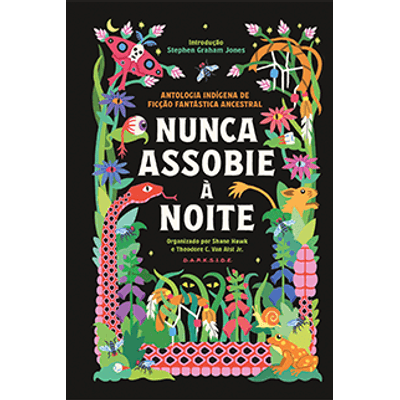 nunca_assobie_a_noite_MINI_capa