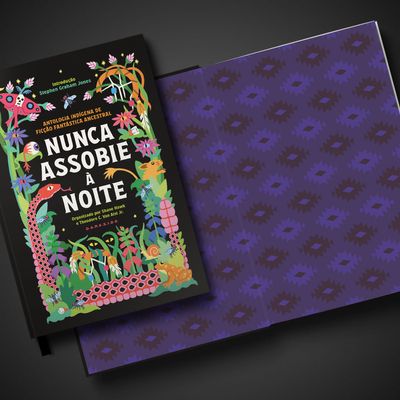 nunca_assobie_a_noite_loja_4