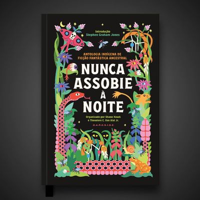 nunca_assobie_a_noite_loja_1