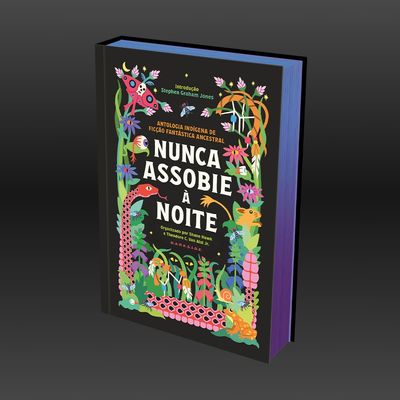 nunca_assobie_a_noite_loja_2_b
