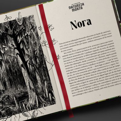 natureza_morta_loja_8